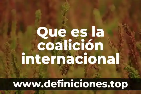 Qué es Latino Internacional 4 Que es la coalición internacional