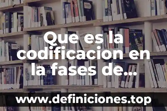 Codificación que es en capa física 4 Que es la codificacion en la fases de proceso