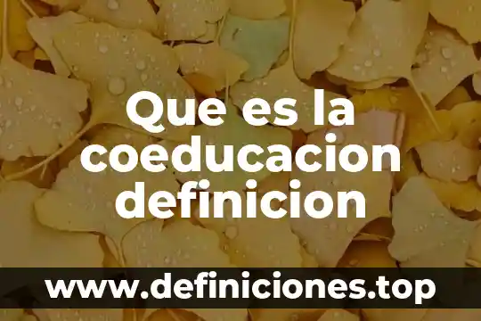 Que es la coeducacion definicion