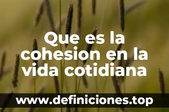 Que es la cohesion en fisica unidades 3 Que es la cohesion en la vida cotidiana