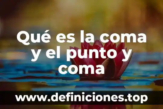 Que es el punto y como y cuando inicia 5 Qué es la coma y el punto y coma