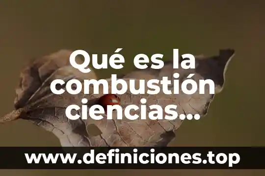 Qué es la combustión ciencias naturales cuarto grado