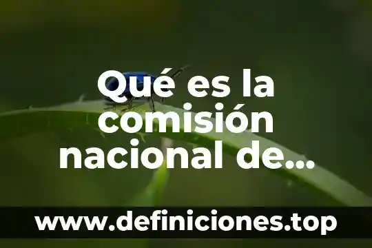 Qué es la comisión nacional de turismo