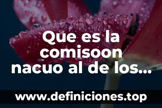 Qué es el albacea derechos 7 Que es la comisoon nacuo al de los derechos huanos