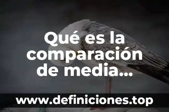 Qué es simil o comparación y ejemplos 4 Qué es la comparación de media duncan