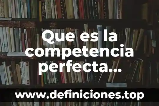 Qué es la duda en filosofía ejemplos 8 Que es la competencia perfecta ejemplos