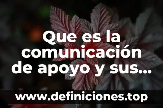 Que es la comunicación de apoyo y sus caracteristicas