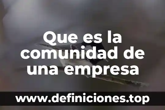 Que es la empresa soled 6 Que es la comunidad de una empresa