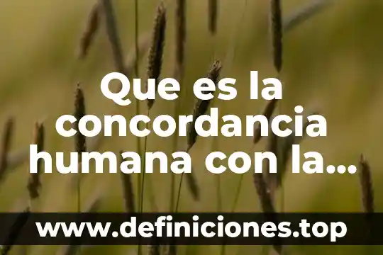 Que es licenciatura en nutricion humana 8 Que es la concordancia humana con la naturaleza