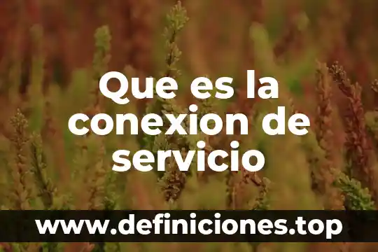 Que es la conexion de servicio