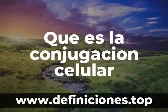 Que es la conjugacion celular
