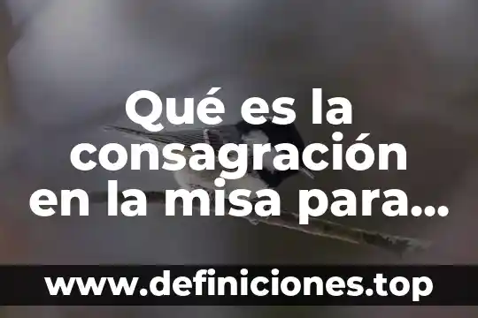 Que es mas importante la hora santa o la misa 4 Qué es la consagración en la misa para niños