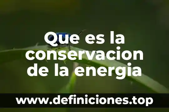 Que es la energia nucleares 4 Que es la conservacion de la energia