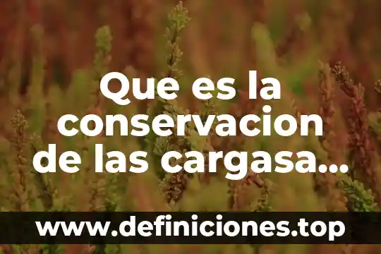 Que es la determinacio de la interacciones electricas 6 Que es la conservacion de las cargasa electricas
