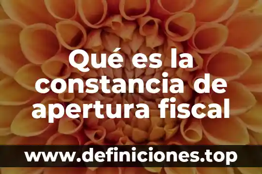 Que es una constancia de identificación fiscal 8 Qué es la constancia de apertura fiscal