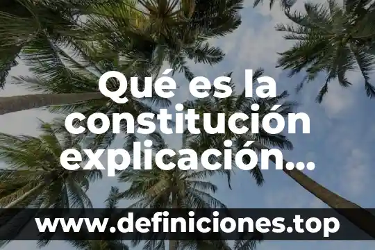 Qué es la constitución explicación para niños