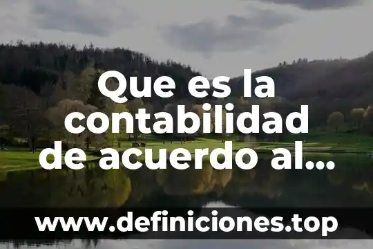 Que es la contabilidad de acuerdo al imcp