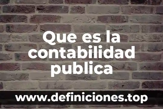 En contabilidad que es el decimo tercer 6 Que es la contabilidad publica