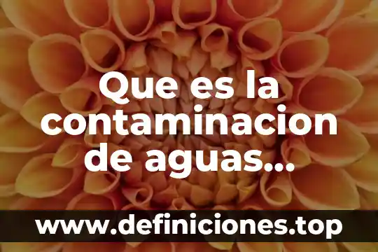 Ley general de aguas nacionales que es 3 Que es la contaminacion de aguas fluviales