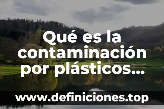 Que es la contaminacion ambiental directa 4 Qué es la contaminación por plásticos gráficas