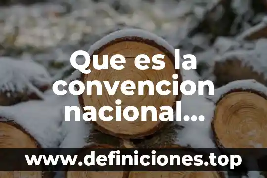 Convencion de anime que es 3 Que es la convencion nacional hacendaria