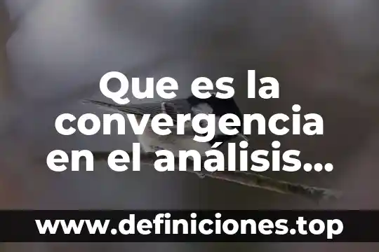 Que es la convergencia en el análisis por elementos finitos