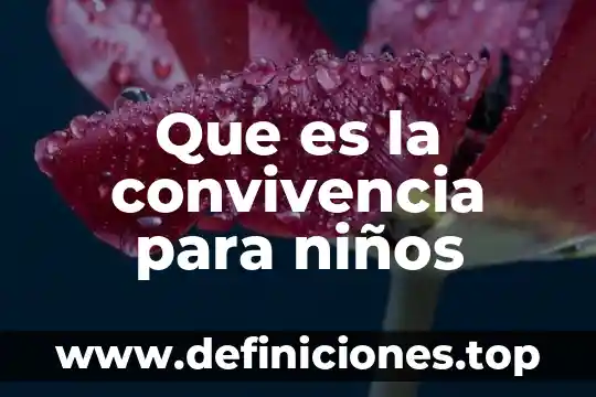 Que es el programa nacional de convivencia escolar pnce 8 Que es la convivencia para niños