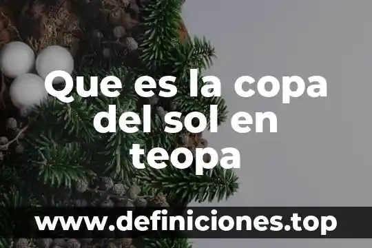 Qué es mejor anteojos fotosensibles o anteojos de sol 8 Que es la copa del sol en teopa