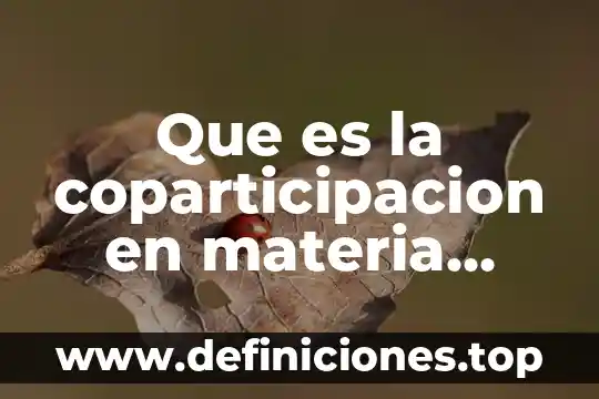 Que es la coparticipacion en materia penal
