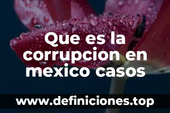Que es el casos de costo 4 Que es la corrupcion en mexico casos
