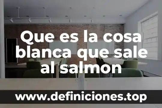 Que es cosa según los romanos 8 Que es la cosa blanca que sale al salmon