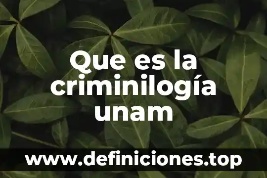 Que es una artista unam 5 Que es la criminilogía unam