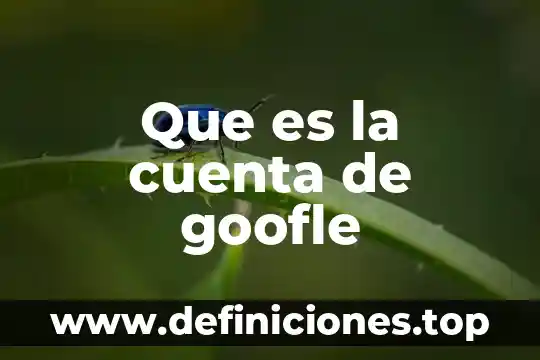 Que es la cuenta de goofle