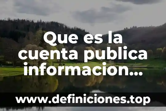 Que es la cuenta publica informacion confiable