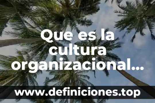 Que es la cultura organizacional concepto