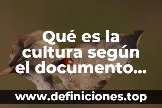 Qué es un documento de consultoría agraria 7 Qué es la cultura según el documento de Puebla