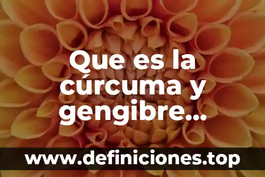 Que es la cúrcuma y gengibre cuales son sus propiedades