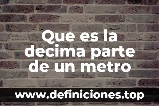 Panto de la parte de abajo que es doble 5 Que es la decima parte de un metro