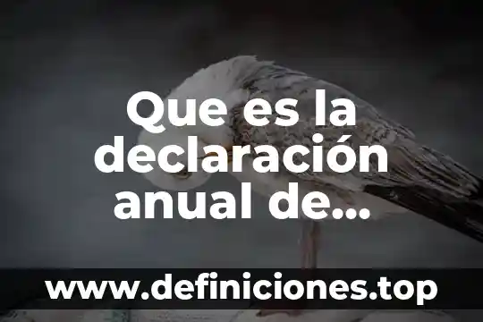 Que es la declaración anual de operaciones de comercio exterior