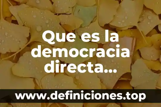 Que es la democracia directa ejemplos