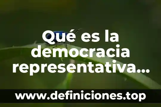 Que es democracia representativa segun autores 5 Qué es la democracia representativa en México