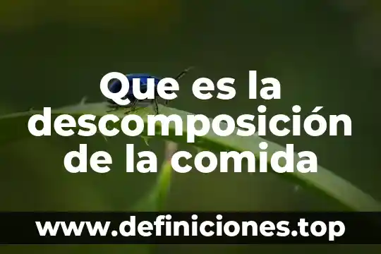 Que es la descomposicion de materia organica 8 Que es la descomposición de la comida