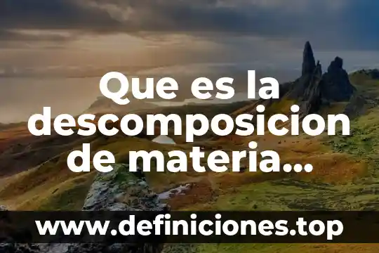 Qué es descomposición científicamente 3 Que es la descomposicion de materia organica