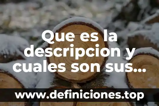 Que es la descripcion y cuales son sus elementos
