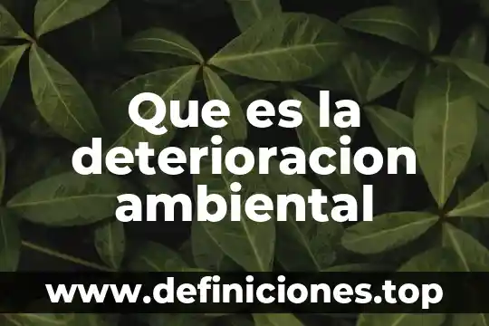 Que es un transecto ambiental 6 Que es la deterioracion ambiental