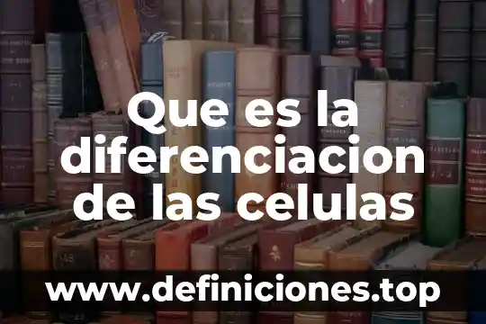 Qué es células procariotas 3 Que es la diferenciacion de las celulas