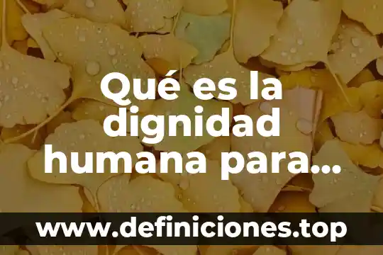 Que es el conocimiento del ser kant 4 Qué es la dignidad humana para Immanuel Kant