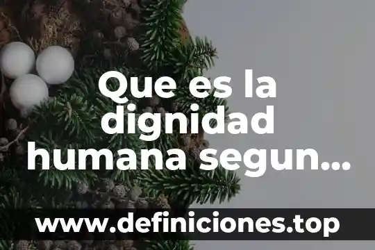 Que es el conocimiento del ser kant 3 Que es la dignidad humana segun kant