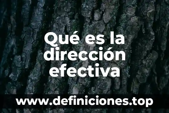 Que es el proceso administrativo segun autoresde direccion 8 Qué es la dirección efectiva