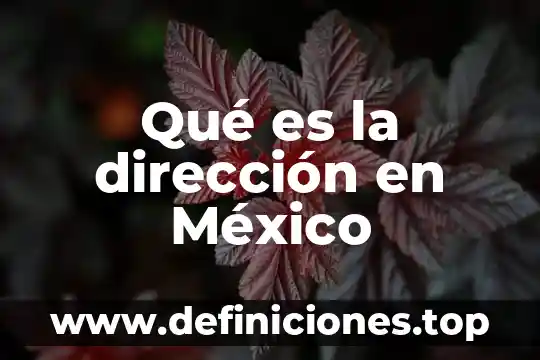 Qué es la dirección en México